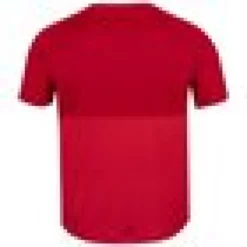 Babolat Boy’s Play Crew Neck Tennis Tee (Tomato Red) -Tecnifibre Shop babolat play crew neck boys red back 1000 1000
