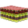 Penn Championship Regular Duty Tennis Balls (Case) -Tecnifibre Shop pregcase 1000 1000